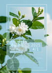 茉莉花 早安