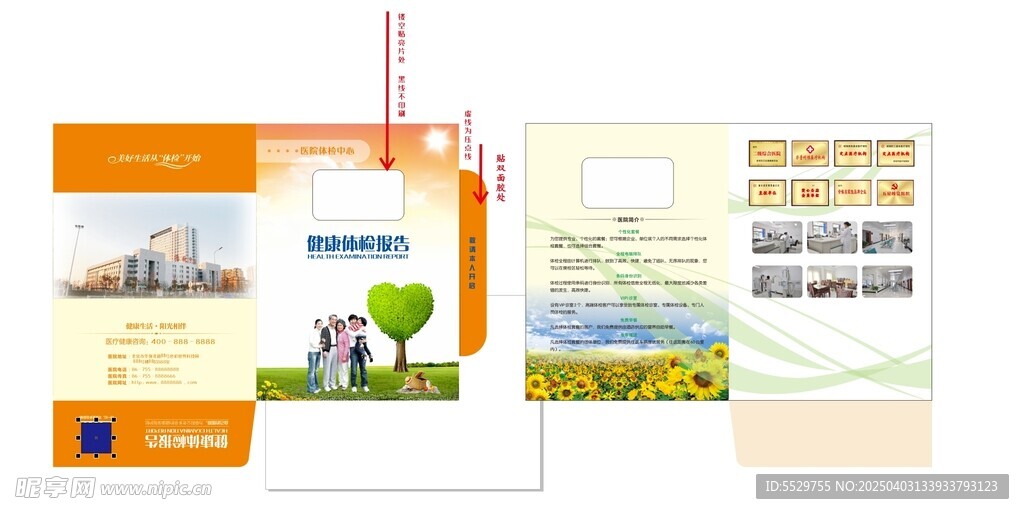 体检报告封套模板