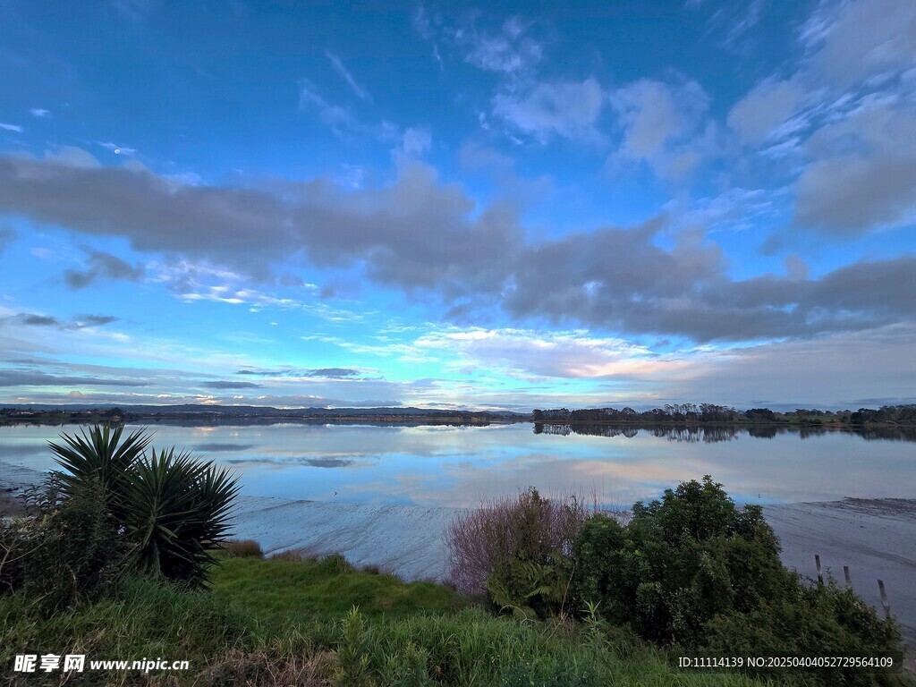 奥克兰海边晨景