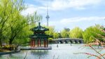 春天钓鱼台园林风景