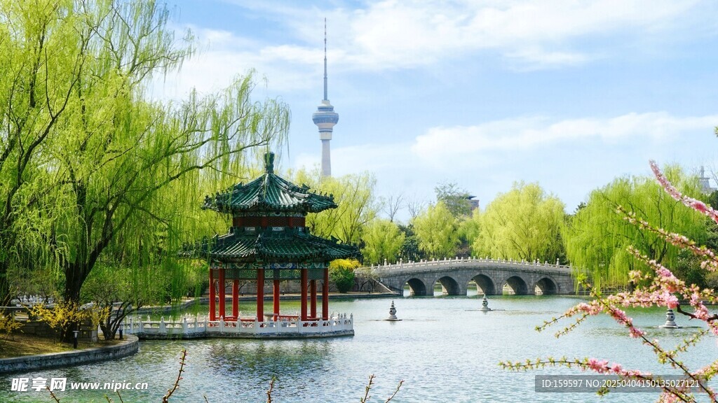 春天钓鱼台园林风景