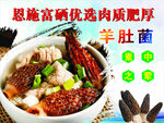 羊肚菌 