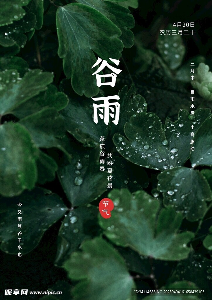 雨水海报谷雨演讲文稿插画美术