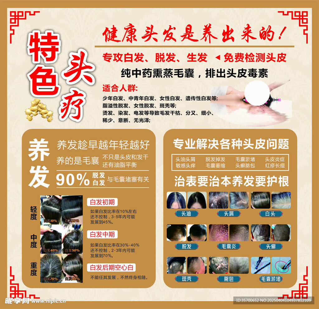 特色头疗养发脱发海报