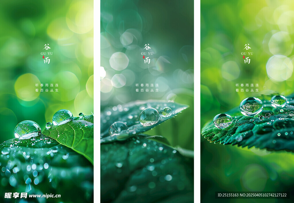 节气谷雨