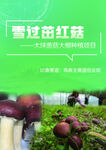 活动海报 