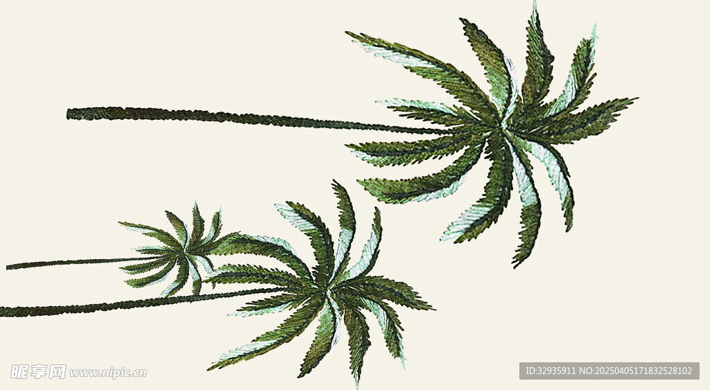 定位花 椰树