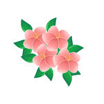 春季春日植物开花装饰