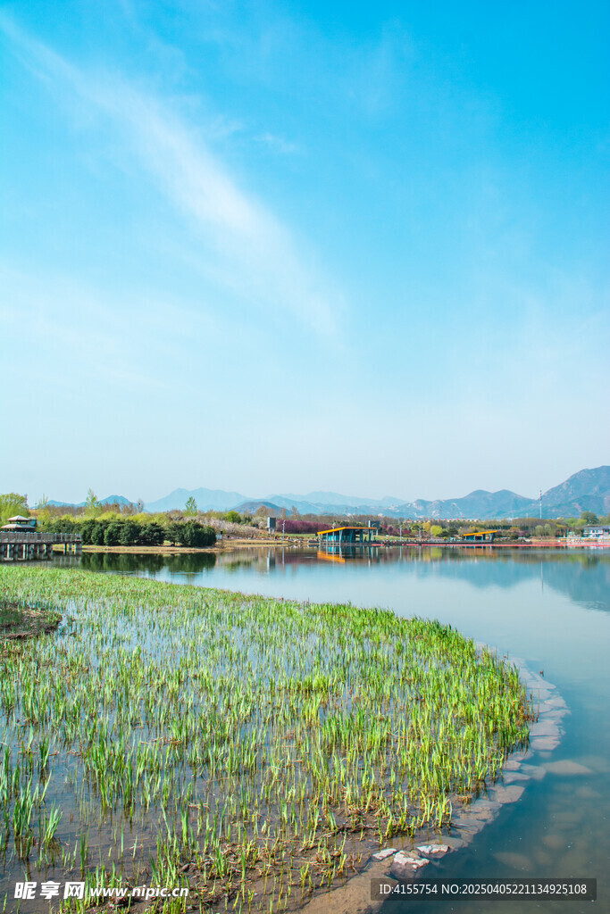 湿地芦苇与远山倒影