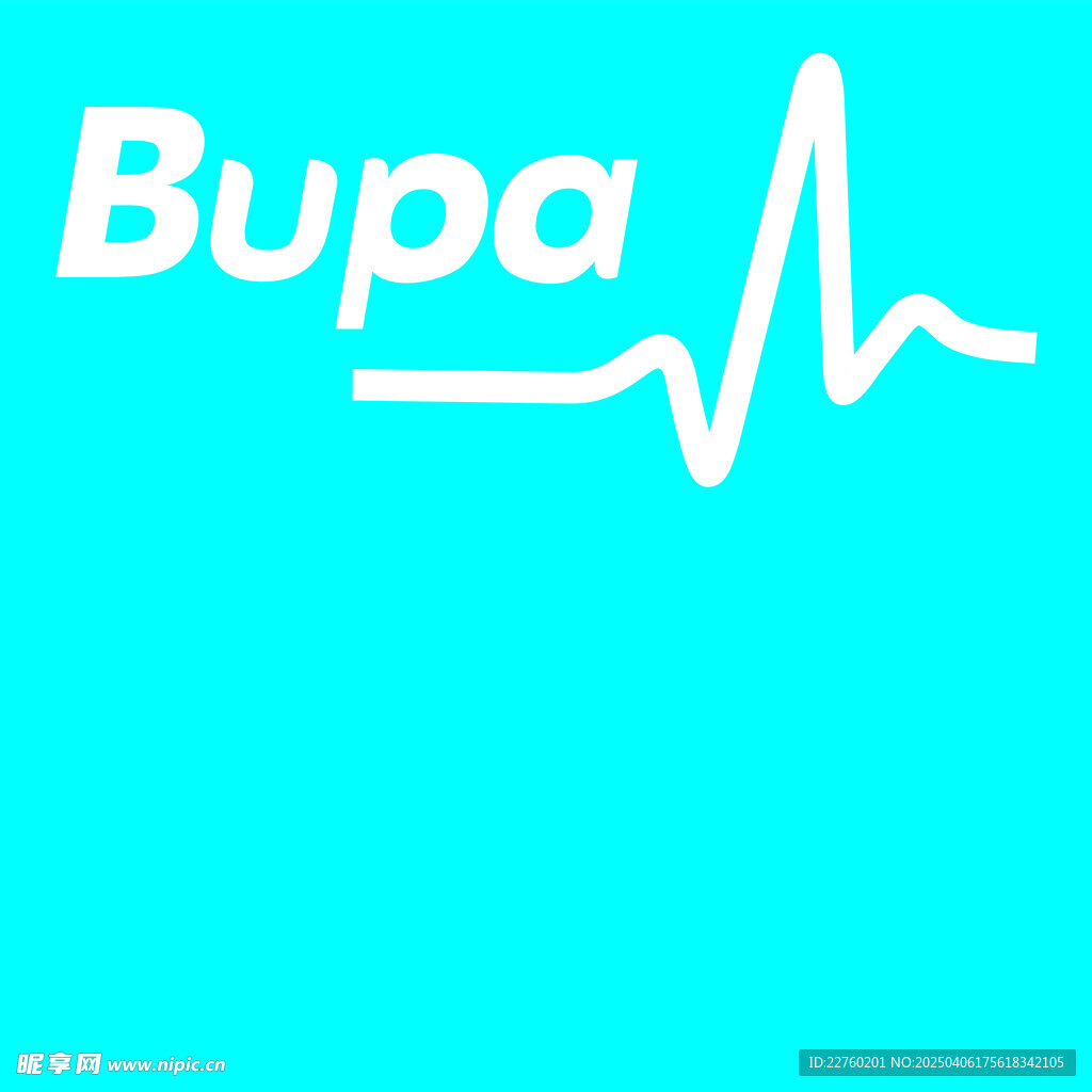 宝柏保险 bupa