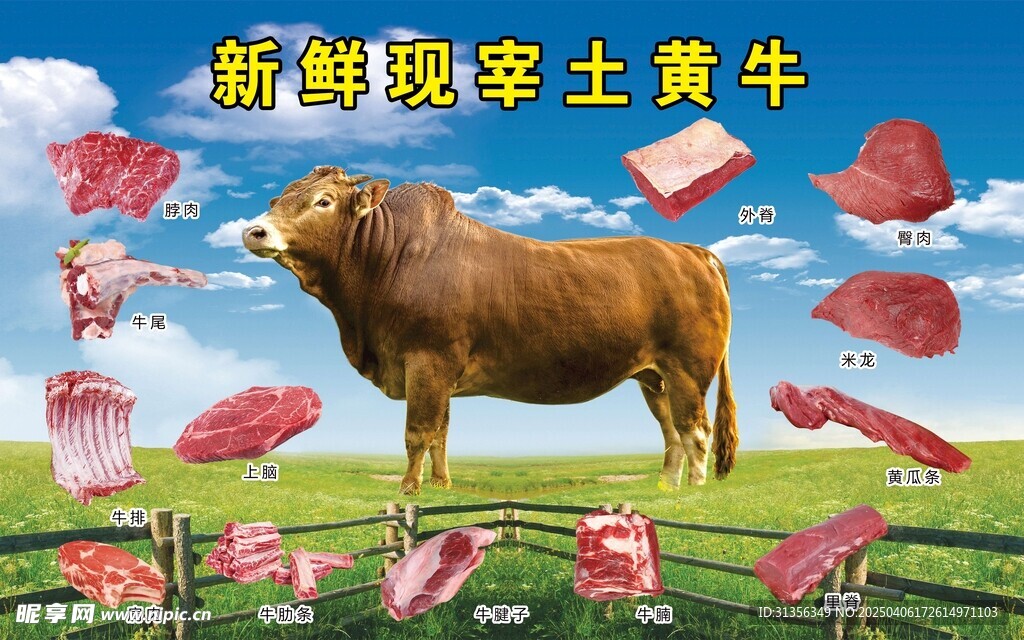 土黄牛