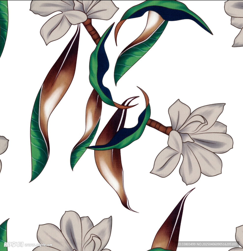 玉兰花 扫描版