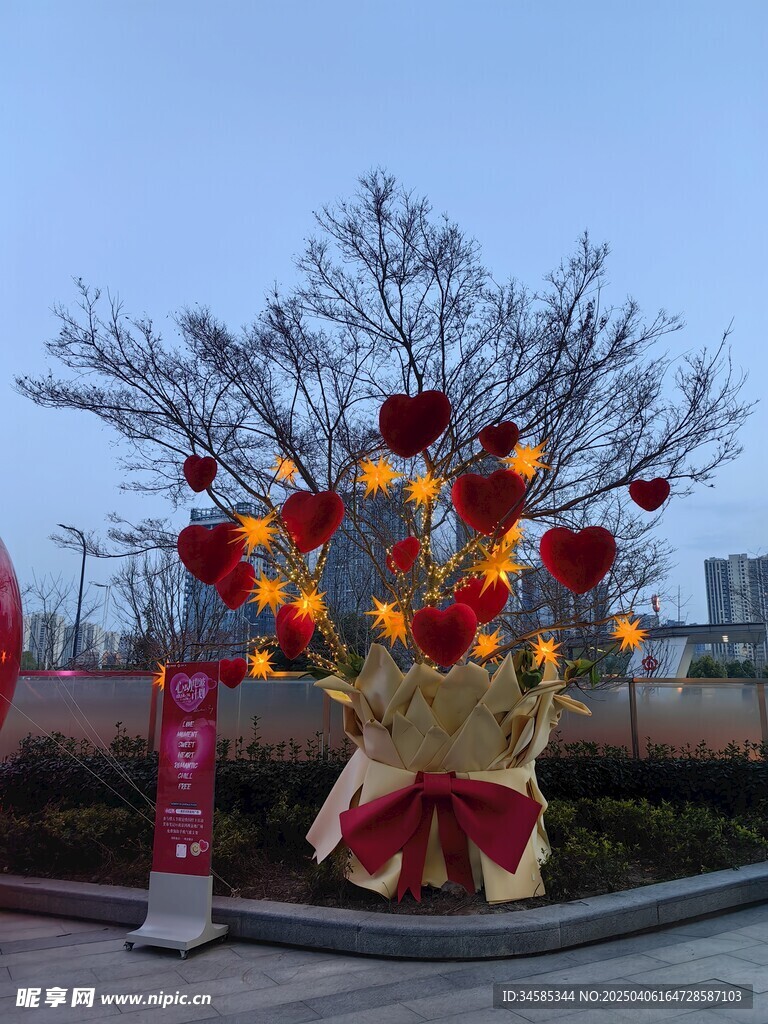 树   