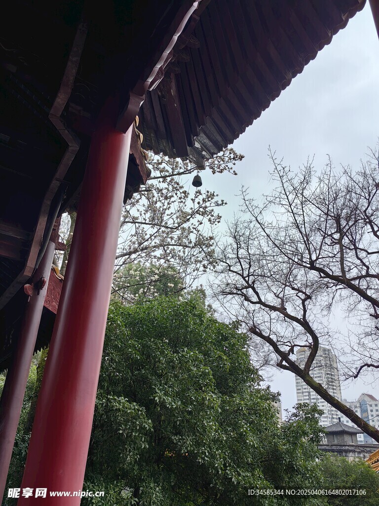 屋檐