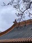 屋顶