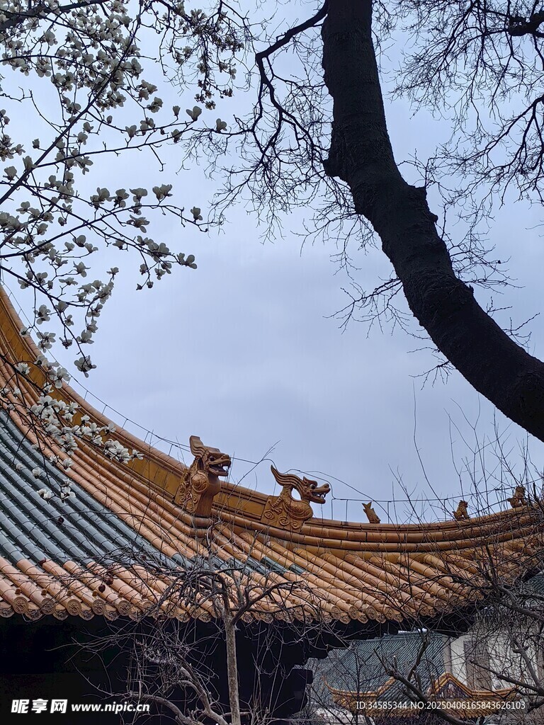 屋檐
