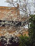 朝天宫