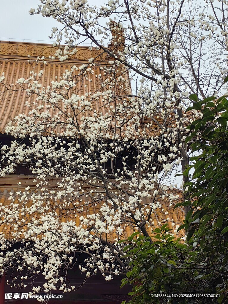 朝天宫