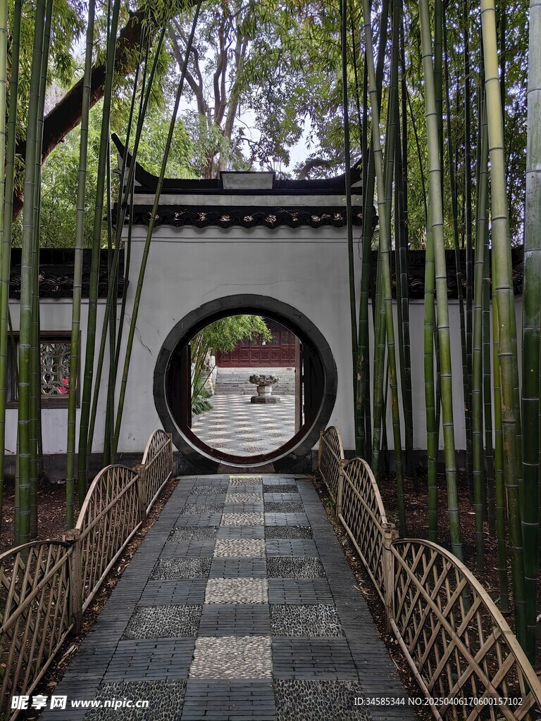 竹林 