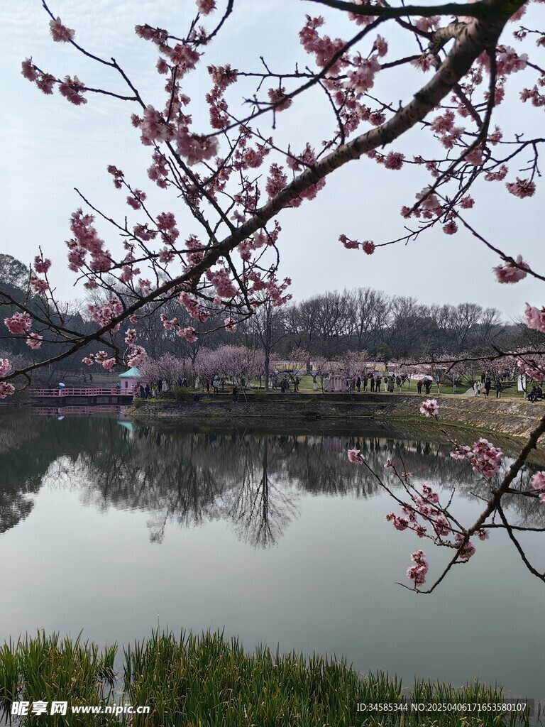 湖面
