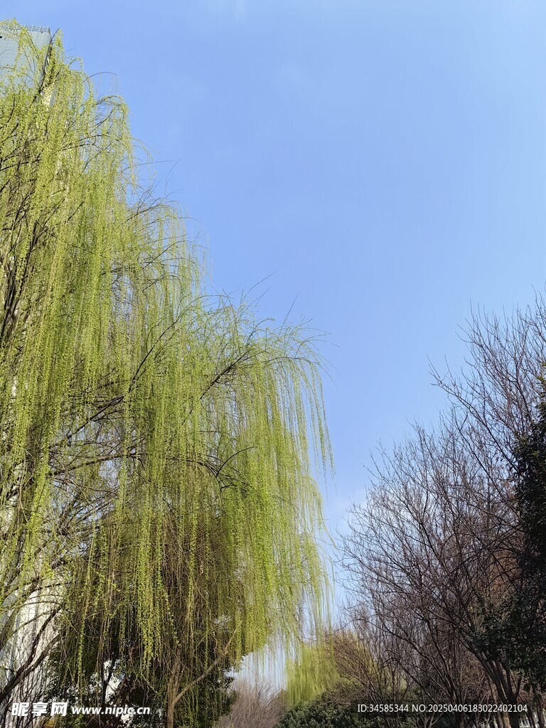 天空