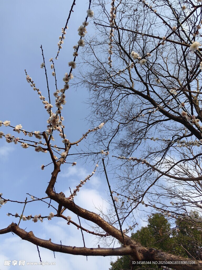 天空