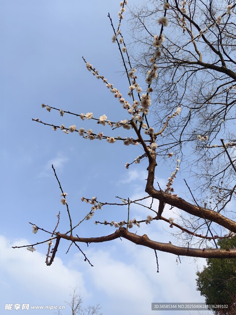 天空