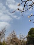 天空  