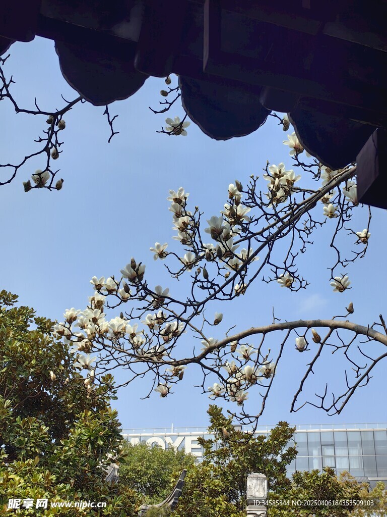 天空