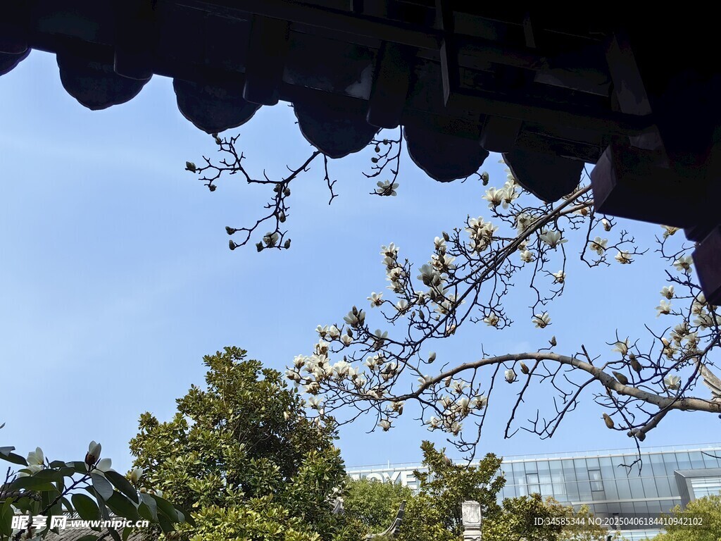 天空  