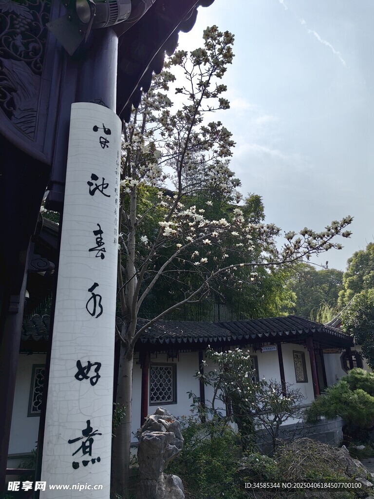 庭院