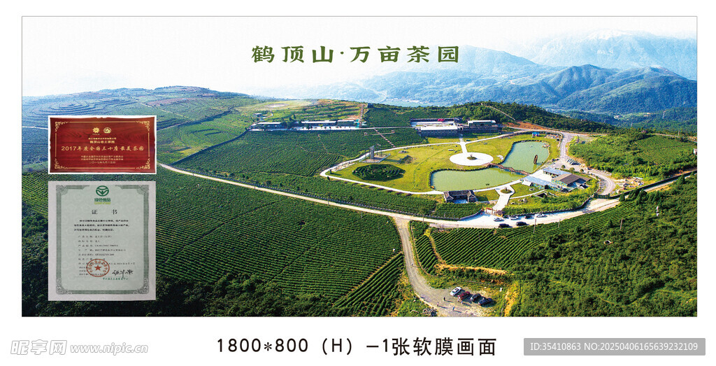养发馆  万亩茶园