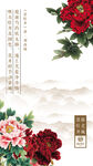牡丹花