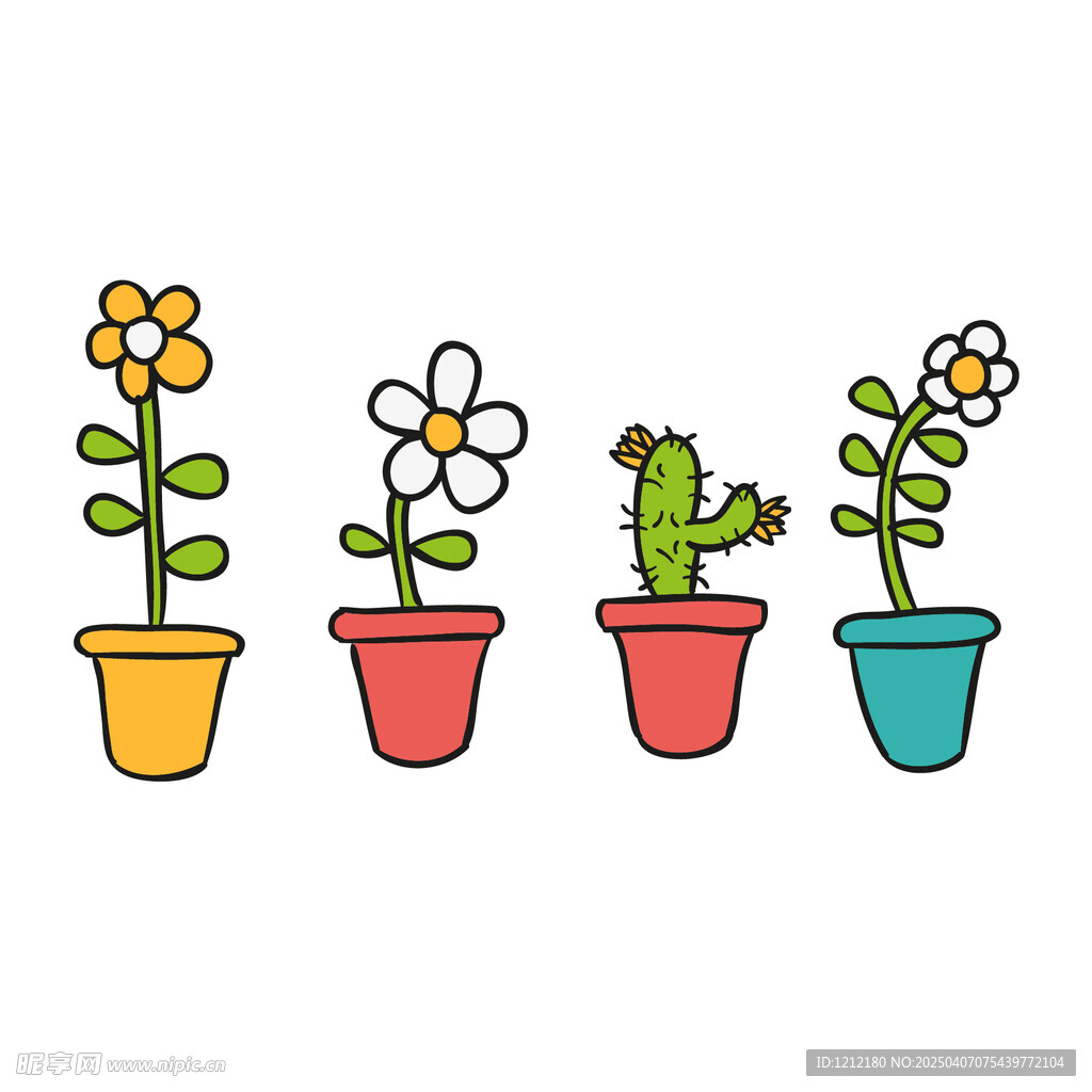 花盆 小花