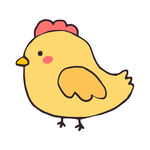 小鸡