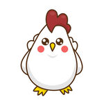 小鸡