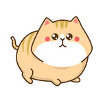 小猫