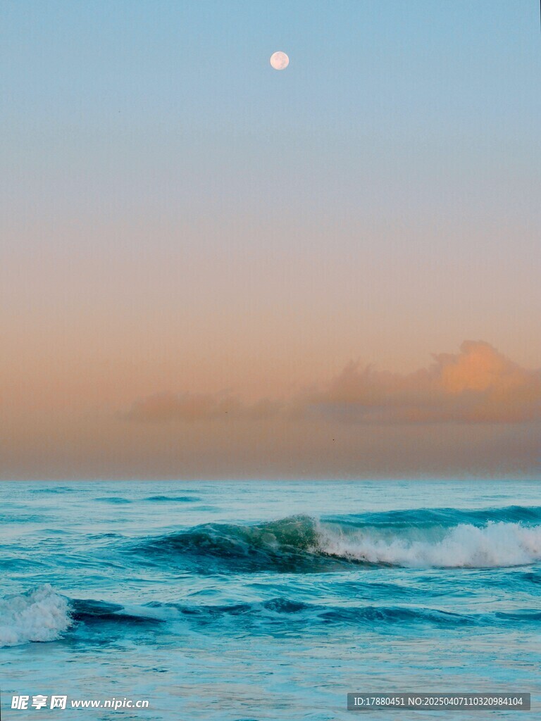 大海
