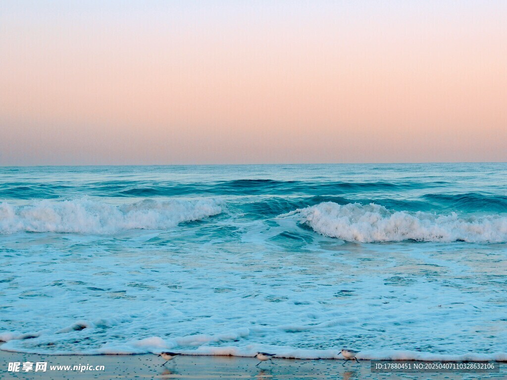 大海