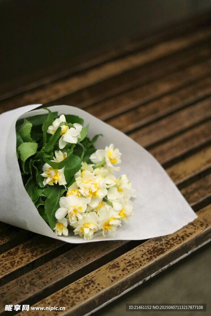 茉莉