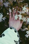 茉莉