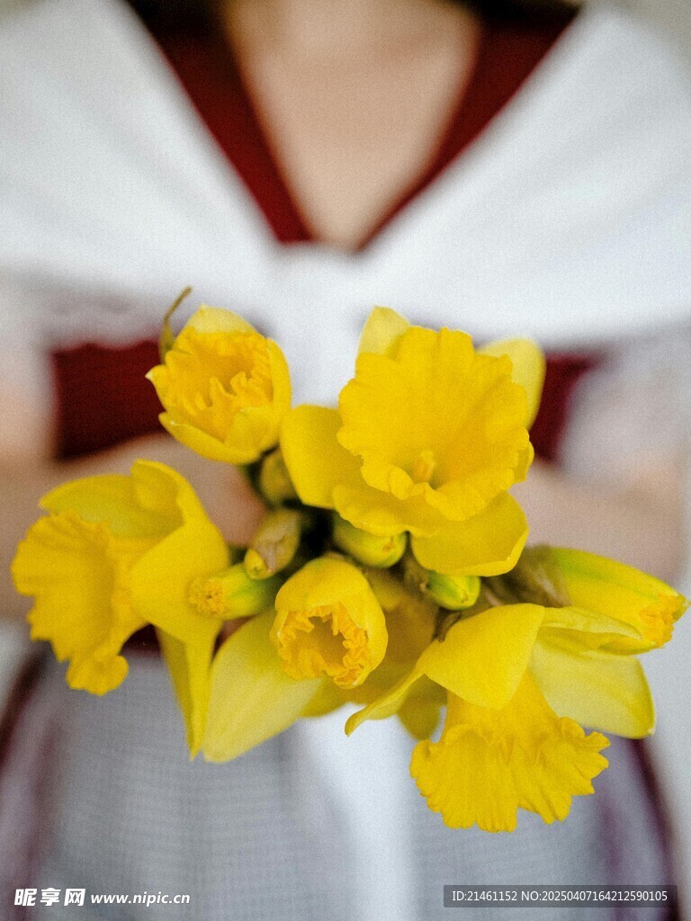 水仙