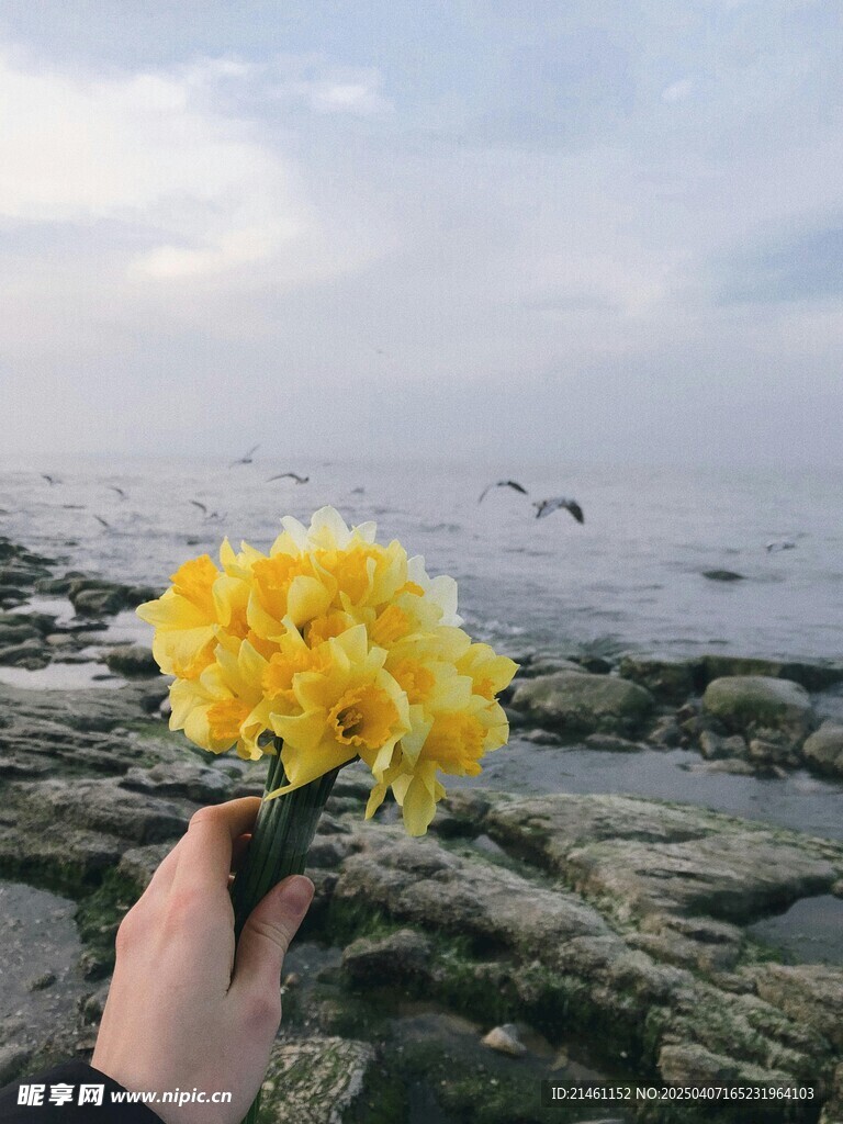 水仙