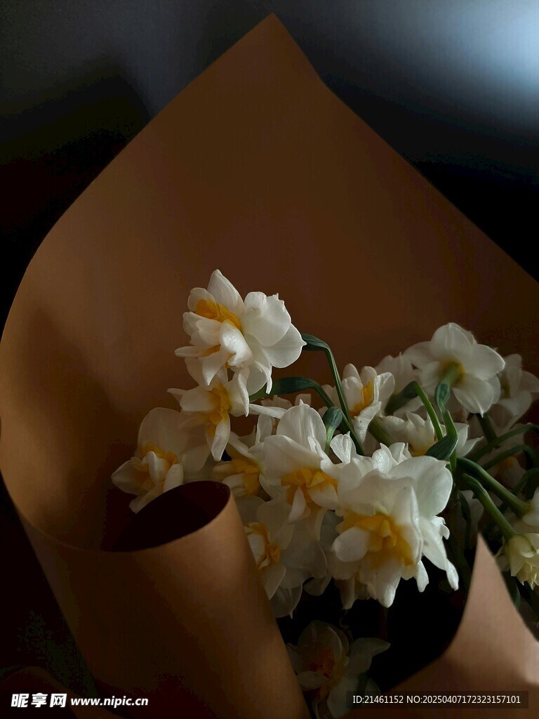 水仙