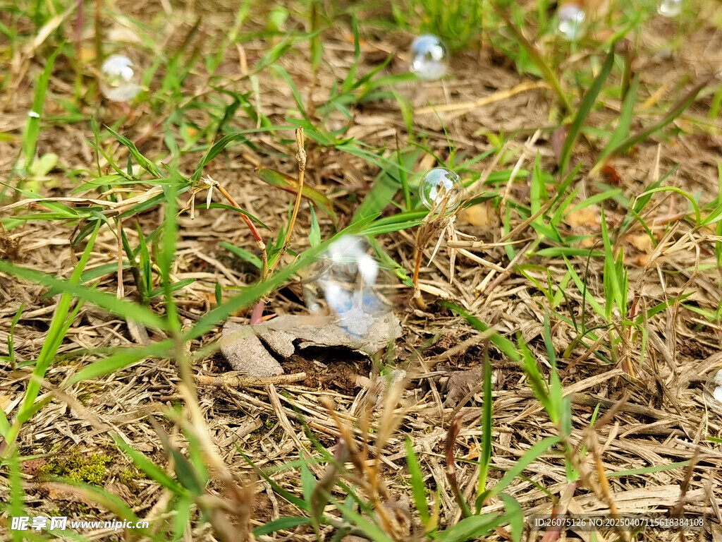 草地上的泡泡