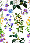 小花