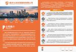 安保服务简介