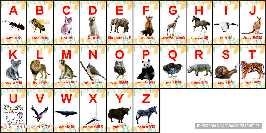 26字母动物英文