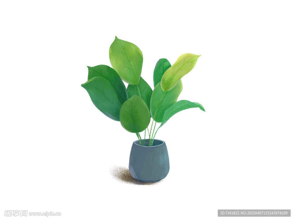 盆栽