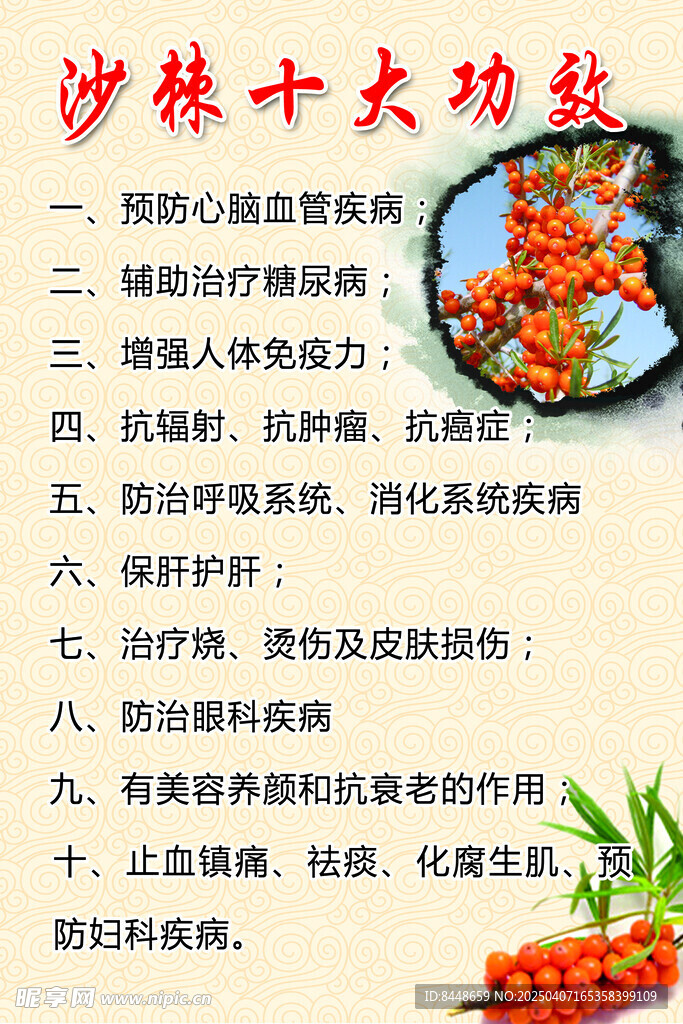 沙棘十大功效